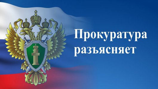 О порядке обжалования представителями бизнеса проверок во время моратория.